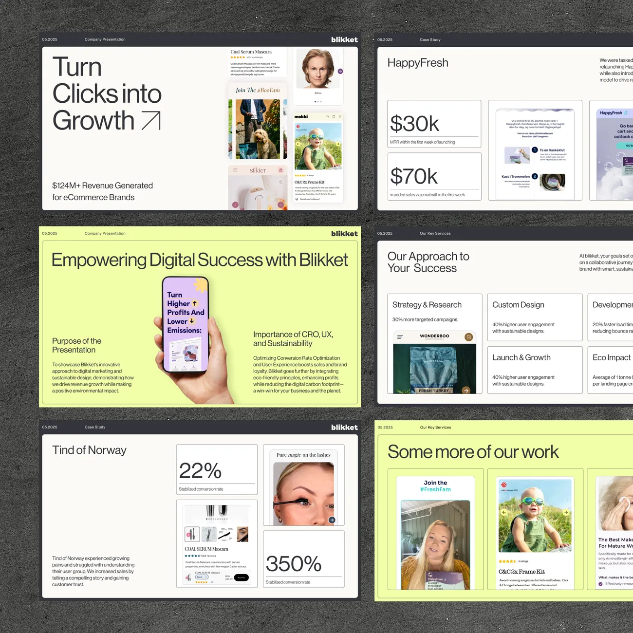 Blikket — Presentation